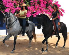 Spain-Southern Spain-Hacienda Buena Suerte
